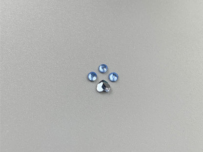 Cat Paw Swarovski Tooth Gem Set | DIY Kit