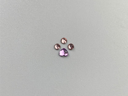 Cat Paw Swarovski Tooth Gem Set | DIY Kit